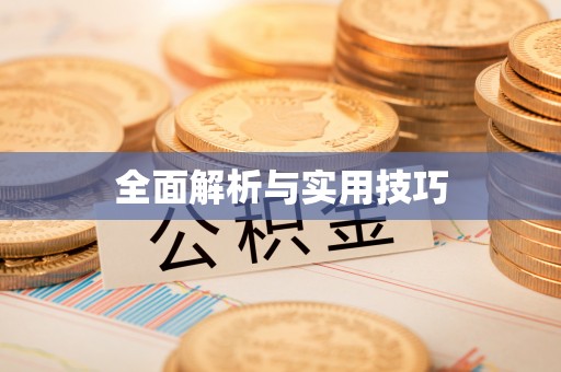 莱西全面解析与实用技巧