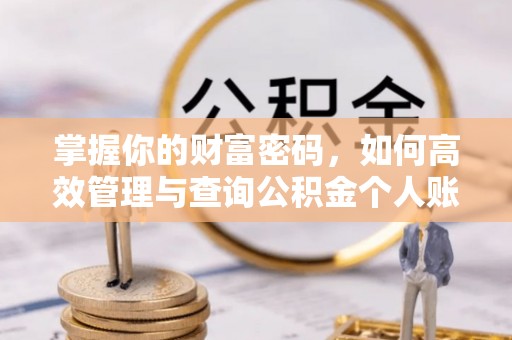 莱西掌握你的财富密码，如何高效管理与查询公积金个人账户信息