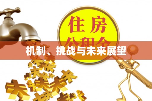 莱西机制、挑战与未来展望